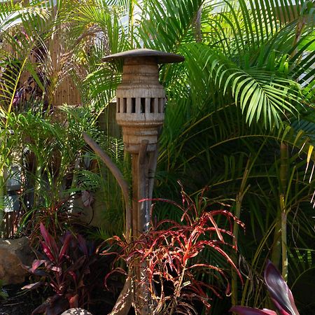 Bamboo Suite, 1 Bedroom, Sleeps 4, Pool & Bbq, Pre-Renovation Summer Sale Kihei Eksteriør billede