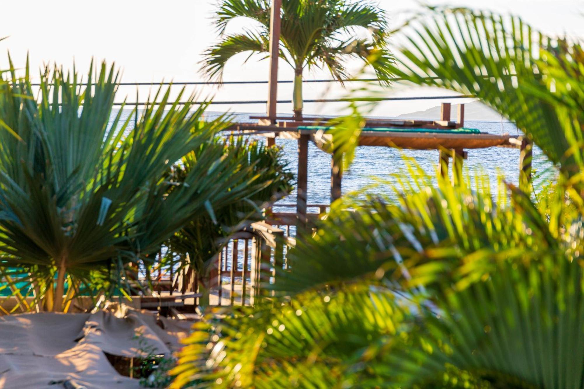 Bamboo Suite, 1 Bedroom, Sleeps 4, Pool & Bbq, Pre-Renovation Summer Sale Kihei Eksteriør billede