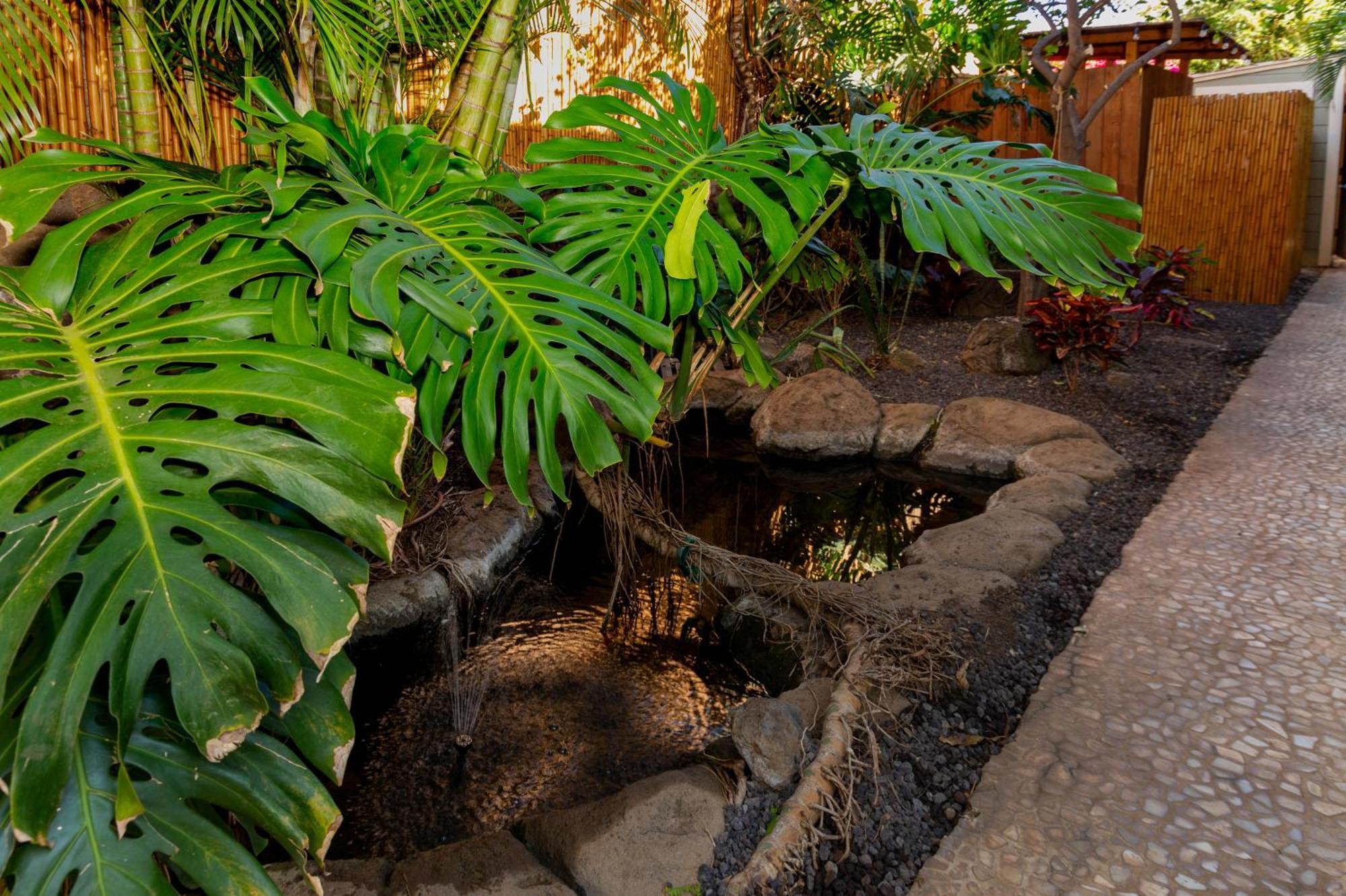 Bamboo Suite, 1 Bedroom, Sleeps 4, Pool & Bbq, Pre-Renovation Summer Sale Kihei Eksteriør billede